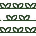 Rollrasen legen lassen