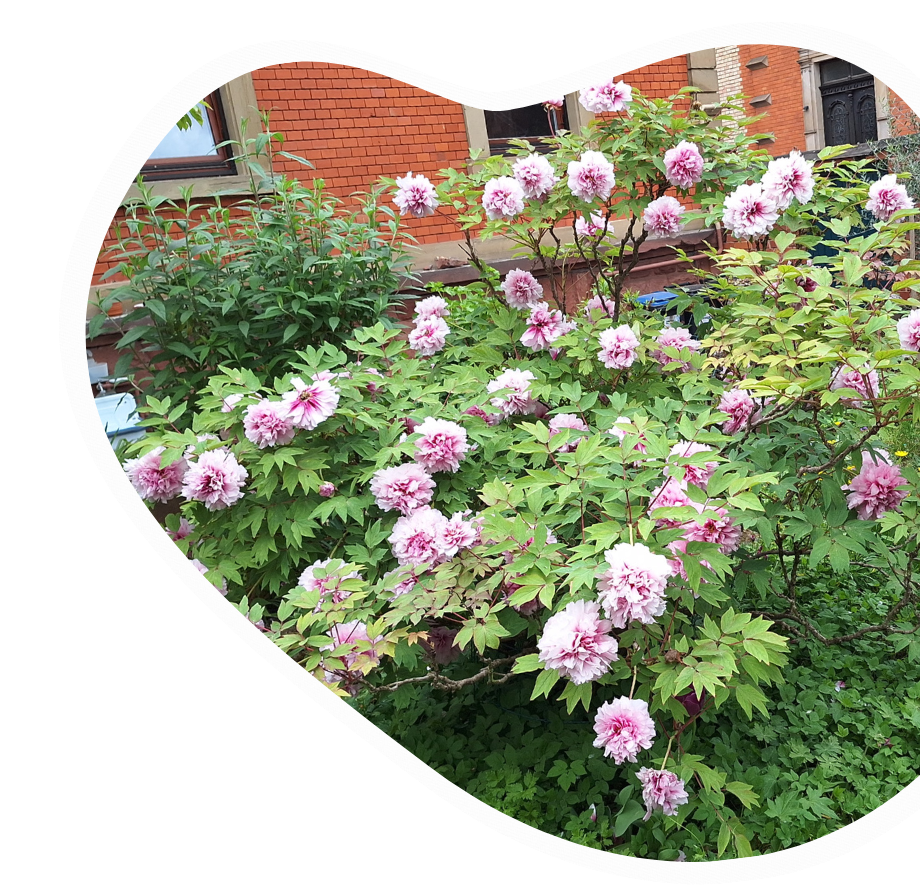 Gartenbau Landau Michael Thomas