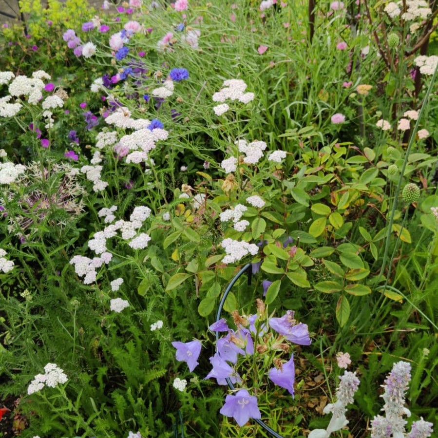 Michels Naturgarten Landau